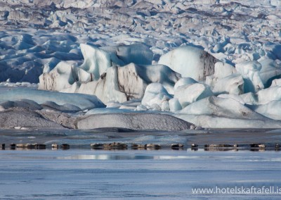 Glacier Lagoon Iceland